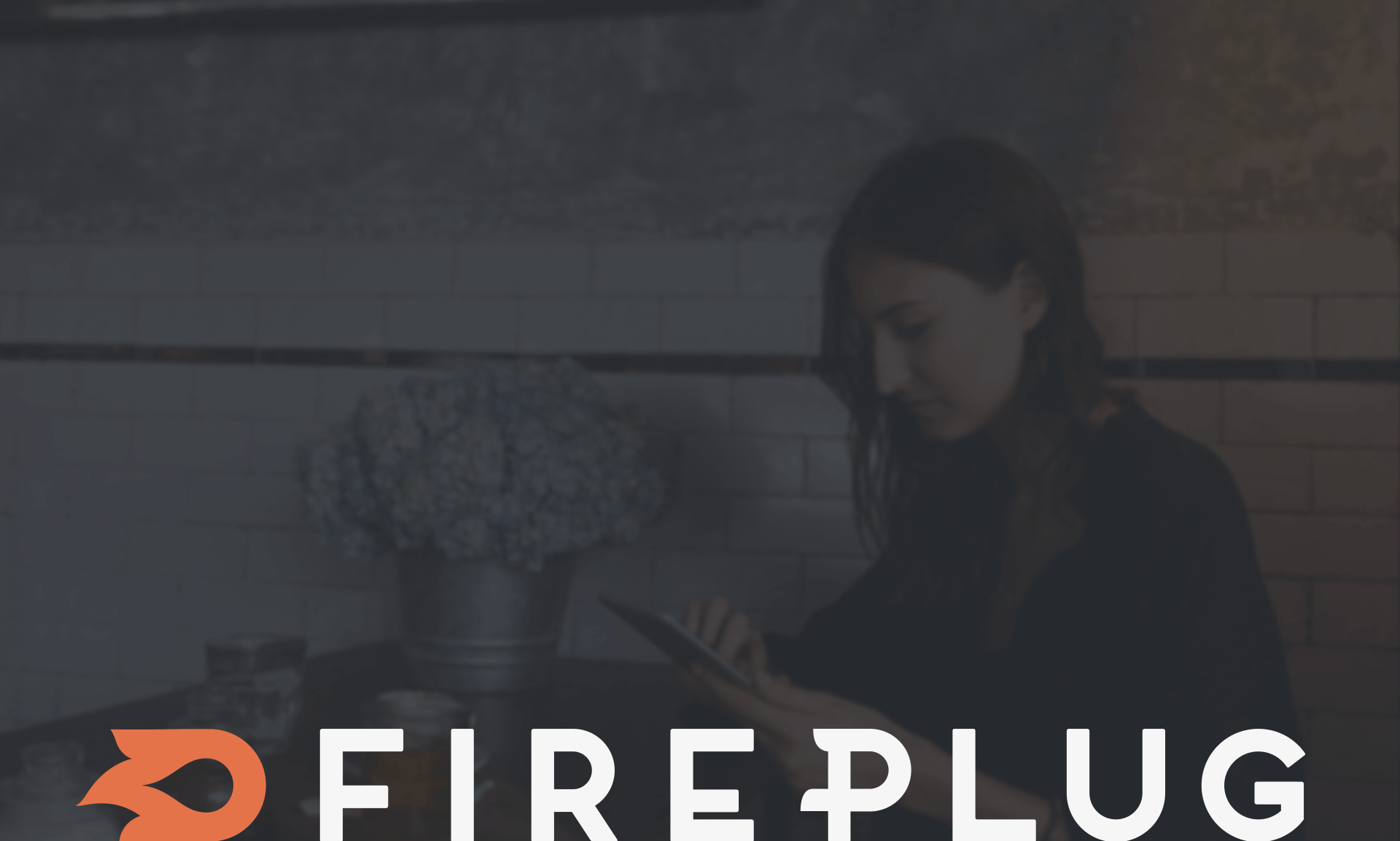 Fireplug app